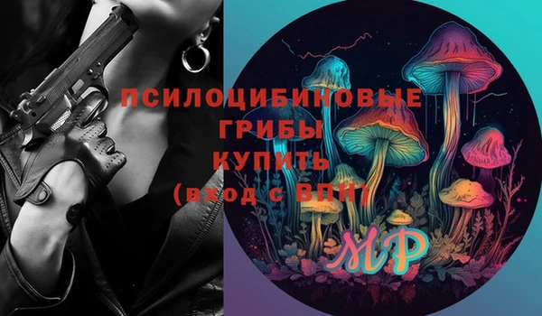 герыч Арсеньев